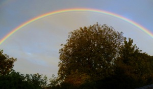 Boro Garden Rainbow