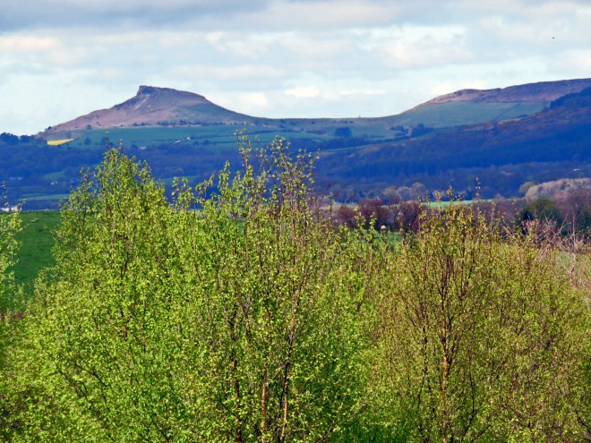 Roseberry Topping above the wood
