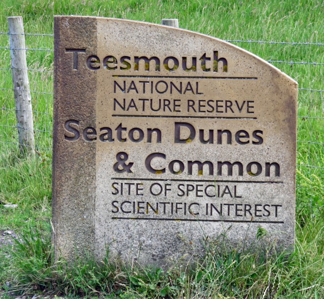 Teesmouth National Nature Reserve